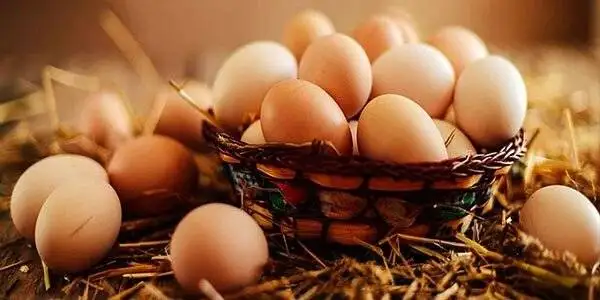 چگونه بوی زهم تخم مرغ را برای همیشه حذف کنیم؟