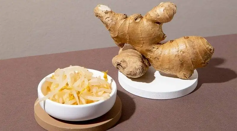 10 غول گیاهی همه فن حریف برای سلامت بیشتر