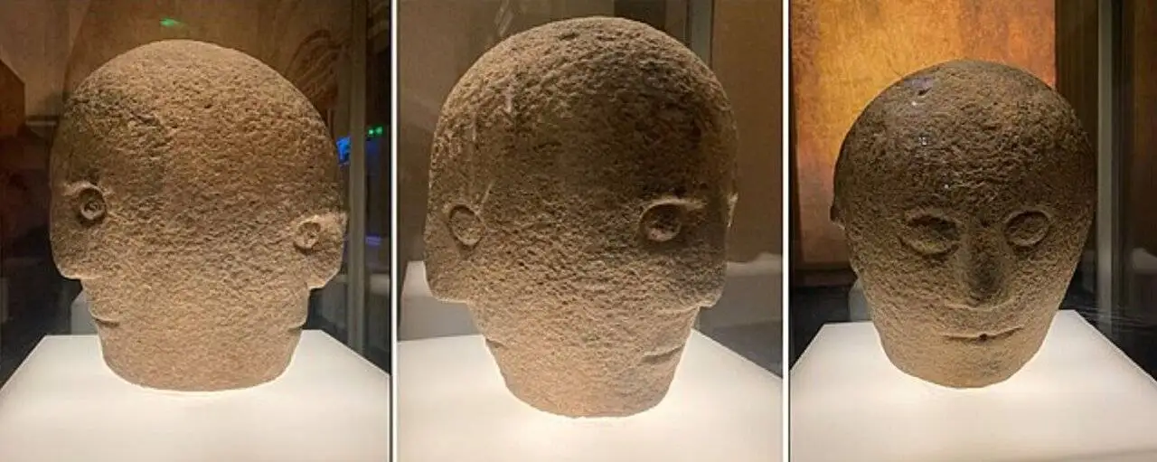 این سر سه چهره دارد! + عکس