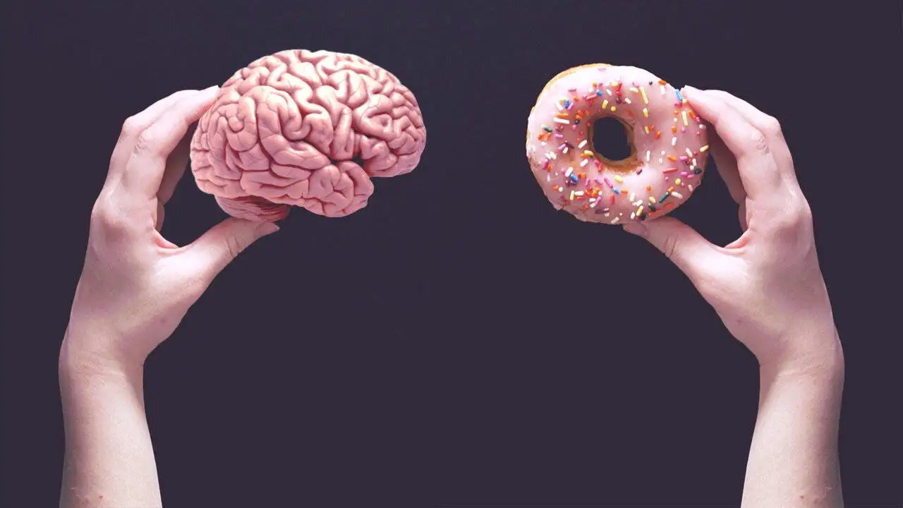 چرا بعد از رژیم دوباره چاق می شویم؟