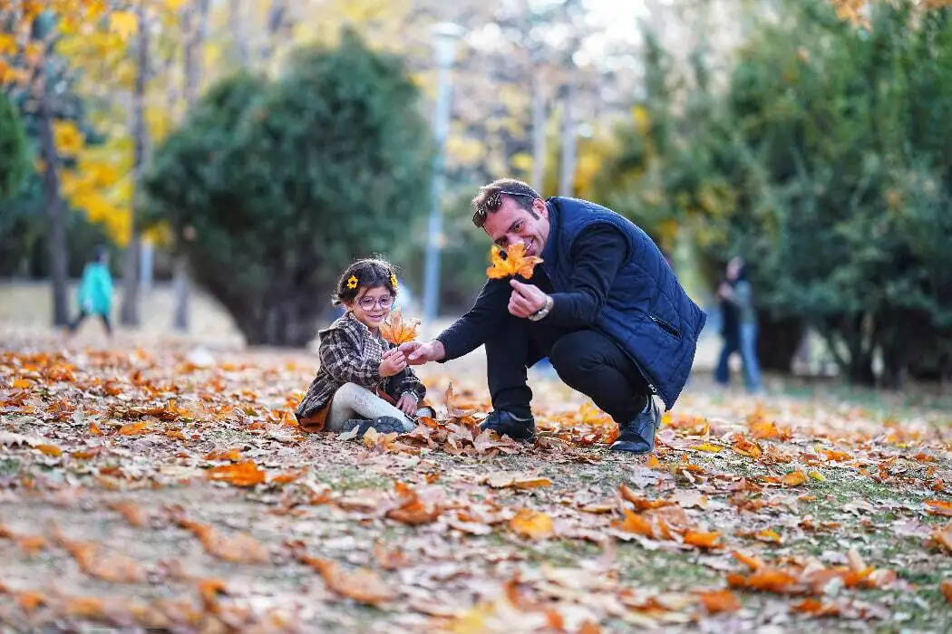 رقص برگ ها در پایتخت تاریخ و تمدن