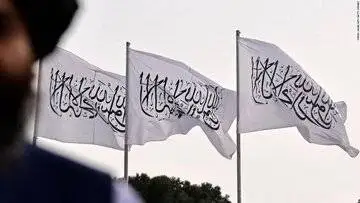 طالبان انتشار تصویر موجودات زنده را ممنوع کرد