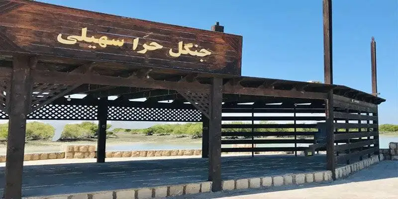 9 سال تلاش اهالی یک روستا برای جهانی شدن - روستای سهیلی چطور نمونه گردشگری شد؟ + ویدیو