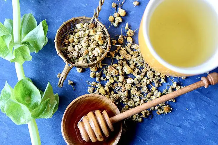 فواید شگفت انگیز چای بابونه ؛ چه افرادی نباید بابونه بخورند ؟