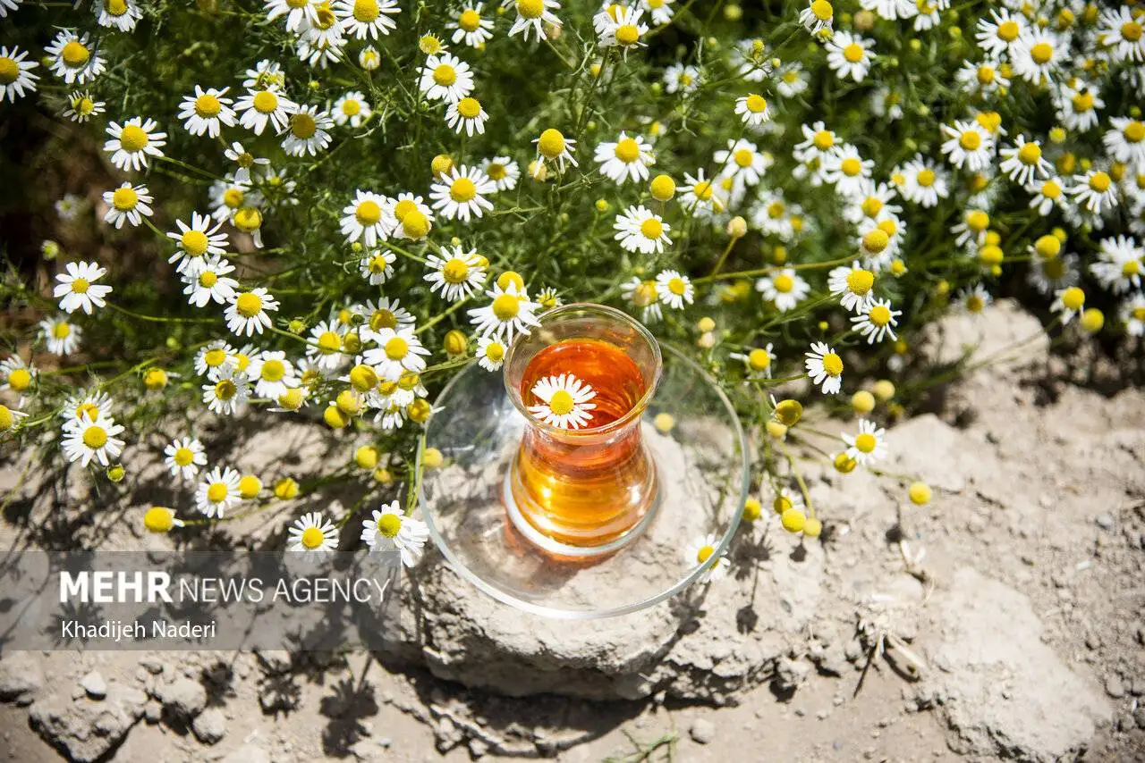 کنترل قند خون و کاهش چربی خون با این دمنوش