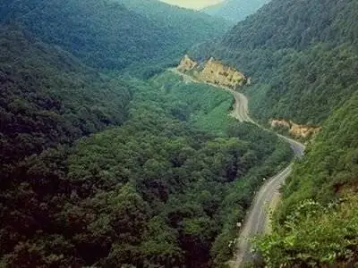 جنگل دیزمار ورزقان ؛ عروس زیبای کوه های آذربایجان
