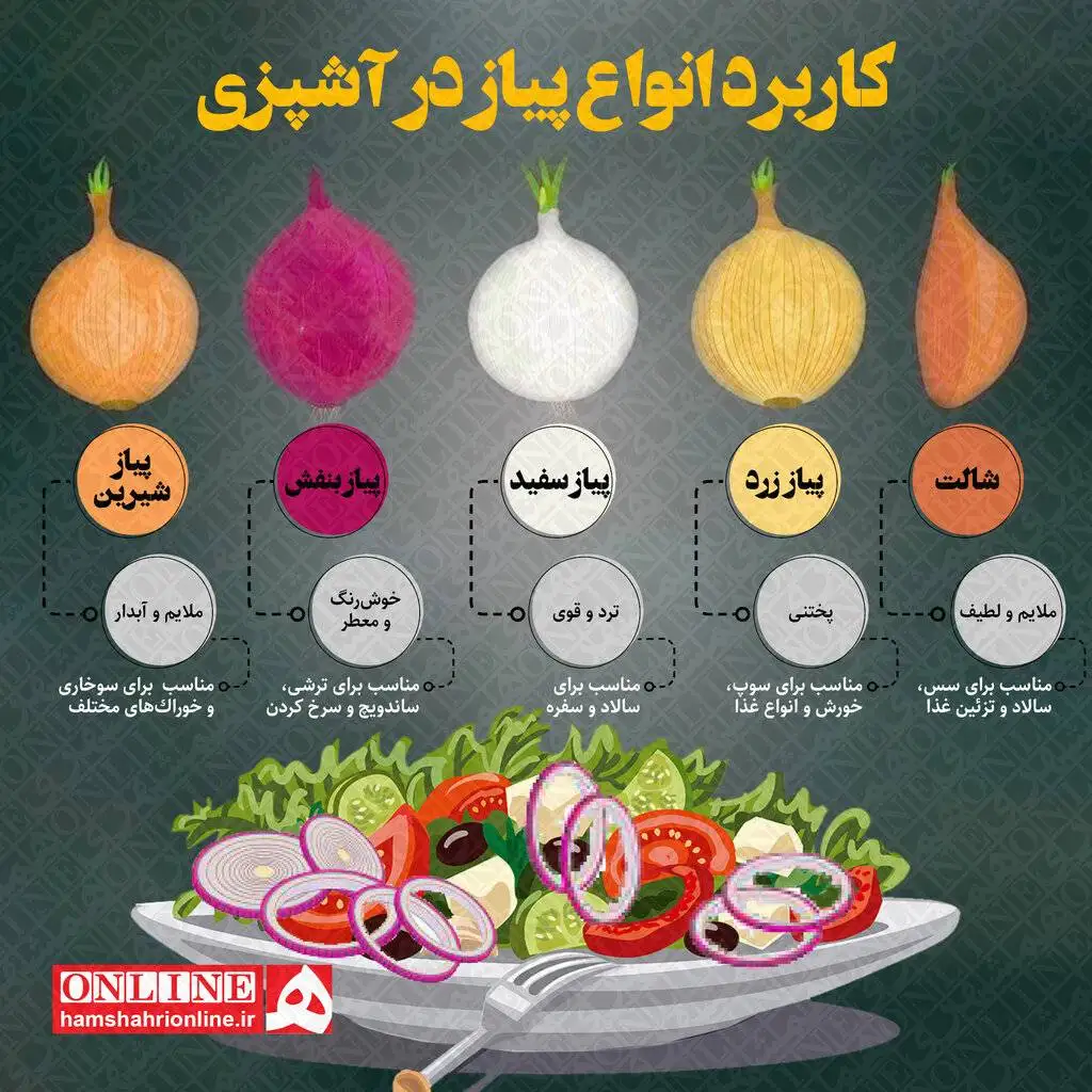 کاربرد انواع پیاز در آشپزی ؛ کدام رنگ پیاز برای چه غذایی مناسب تر است؟