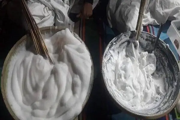 کف بیخ؛ دسر خوشمزه و پرخاصیت خراسانی + درست کردن