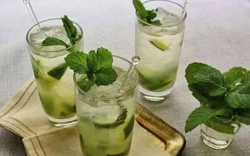 انواع شربت برای محرم؛ درست کردن 10 مدل شربت سنتی و نذری