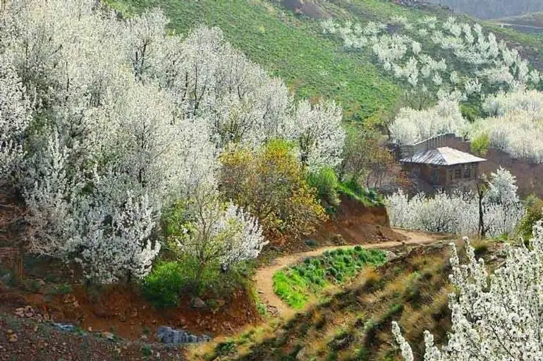 گشت و گذار در ییلاقات بهاری تهران - سفر یک روزه به دل بهار