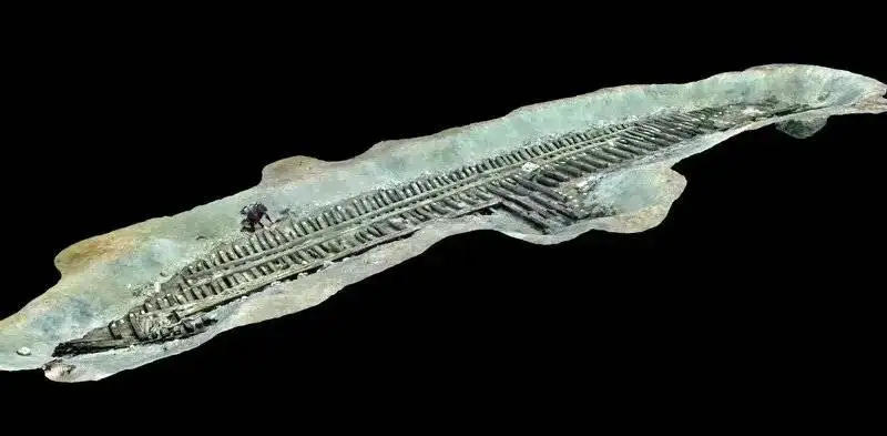 کشف کشتی تفریحی باستانی در عمق 7 متری دریا - عکس