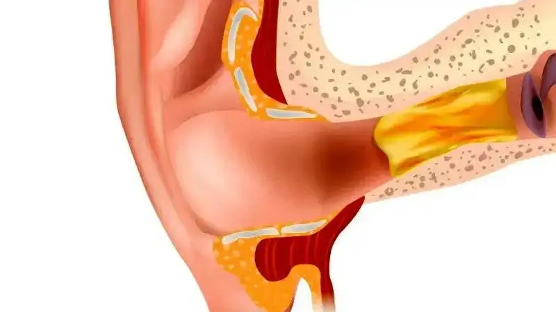 رازهایی که جرم گوش درمورد سلامتی شما فاش می کند!