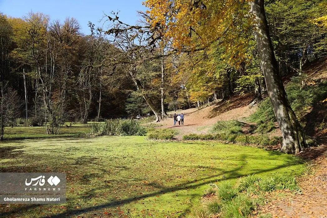 مرداب دِریوک در پاییز + تصویر - مرداب دِریوک کجاست ؟ ؛ مسیر دسترسی به مرداب دِریوک