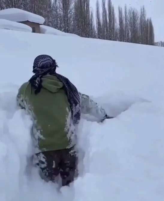 برفی که خاطره ها را زنده کرد + عکس و فیلم