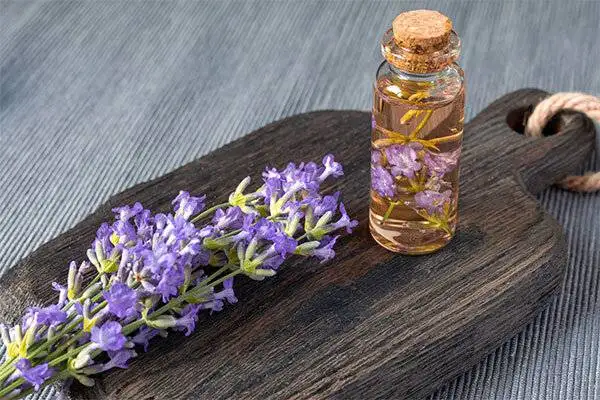 با مصرف این روغن ها به جنگ پیری بروید