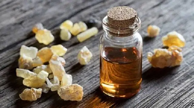 با مصرف این روغن ها به جنگ پیری بروید