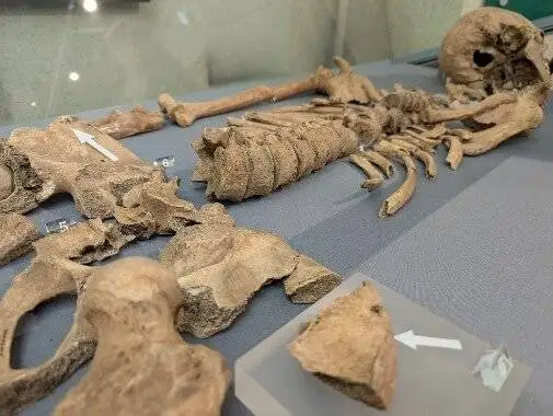 رمزگشایی از یک اسکلت 1800ساله - اسرار تلخ برد با شیر در گورستان گلادیاتورها