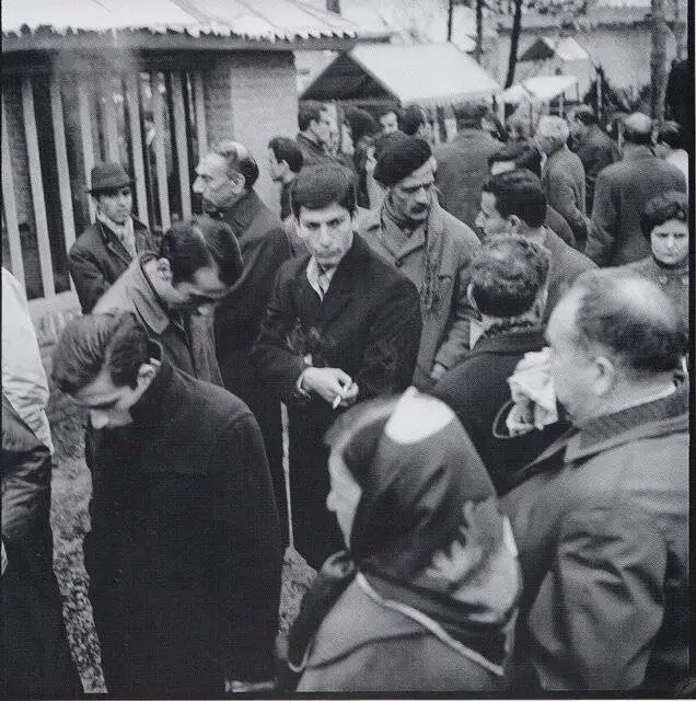 جلال آل احمد: ابراهیم گلستان باید کفاره گناهی را که کرده است بدهد - خواهرزاده جلال آل احمد در سالروز درگذشت فروغ فرخزاد نوشت