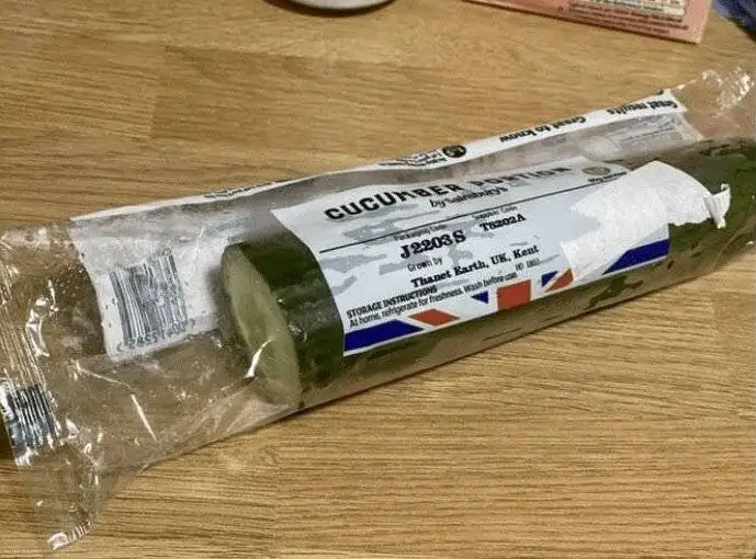 واقعیت شوکه کننده ؛ در آکسفورد شپش عادی است! - خیلی کار خوبی کردم برگشتم ایران