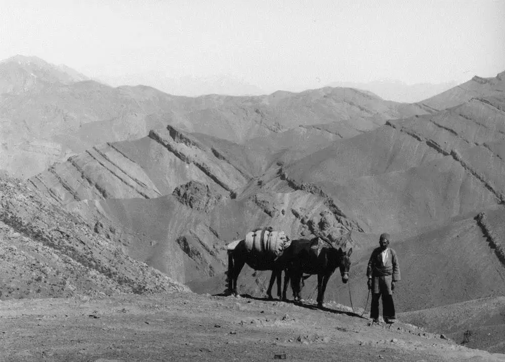 امامزاده ای که هم شاهان دوستش داشتند، هم مردم عادی