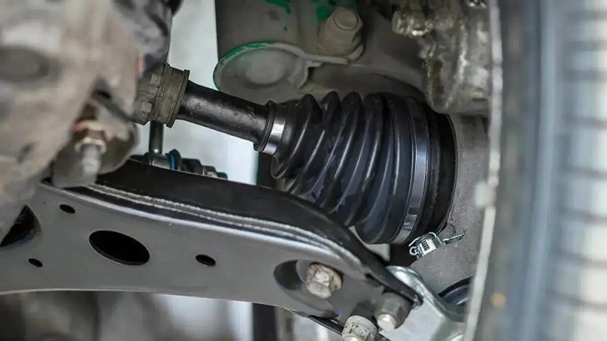 علائم پارگی گردگیر پلوس