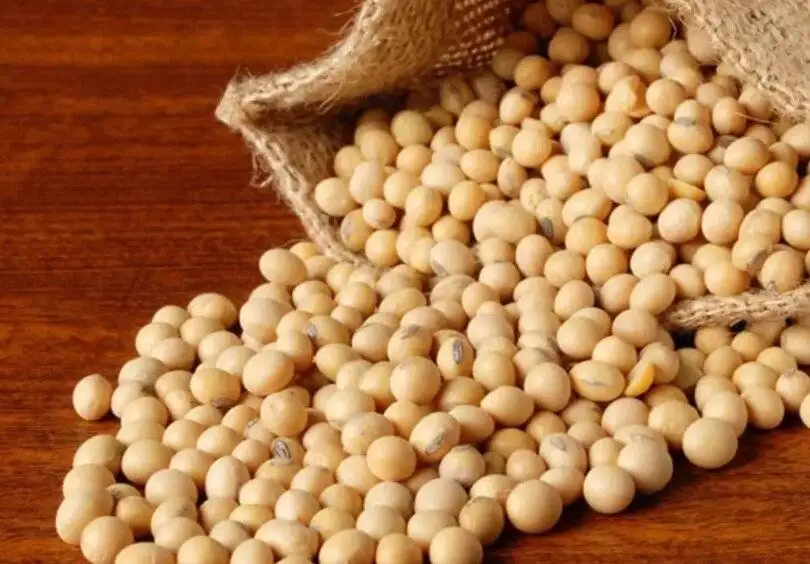تخم مرغ سرطان زا است؟