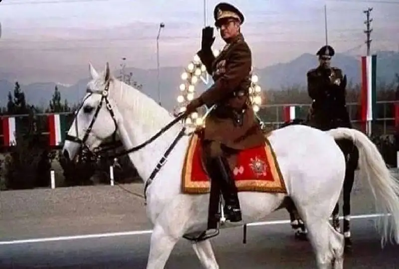 عکس سفر به ایام قدیم - اسب سواری محمدرضا پهلوی حین سرکشی