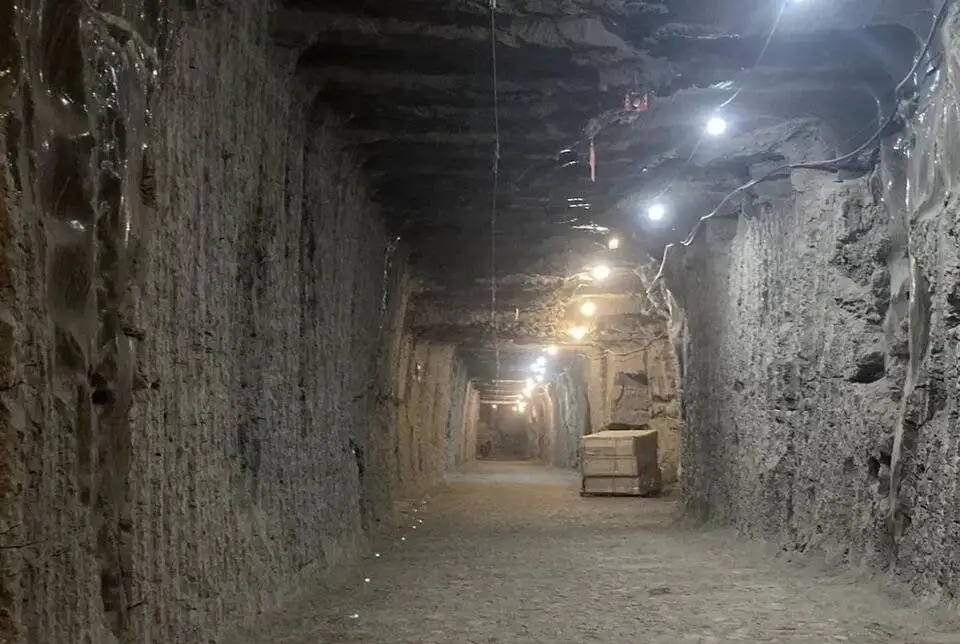 بیدار شدن میکروب های یخ زده پس از 40 هزار سال! + عکس