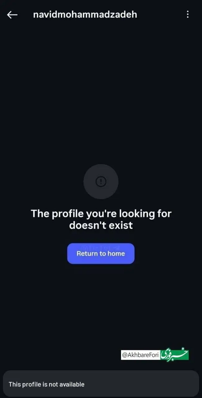 تصویر - واکنش آقای بازیگر به انتقادات تند؛ نوید محمدزاده از اینستاگرام خداحافظی کرد!