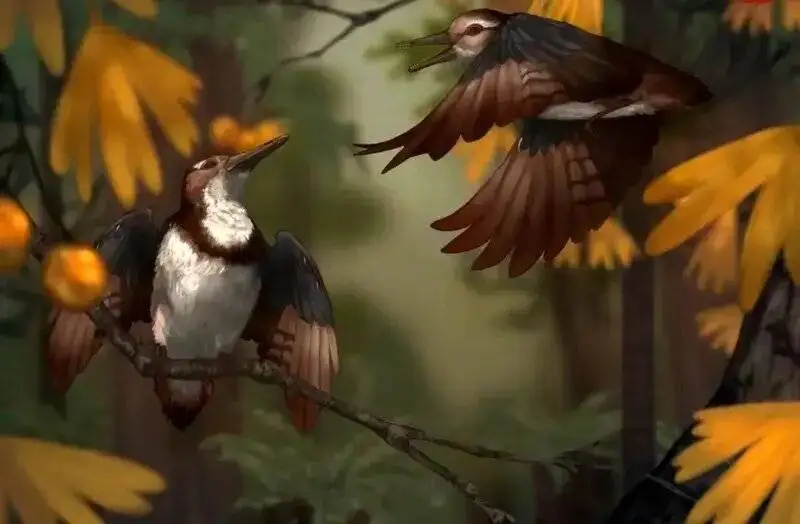 راز پرنده 120 میلیون ساله با 800 سنگ در گلو - عکس