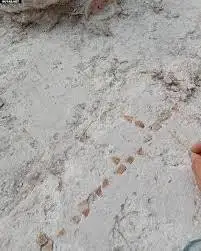 بازی باستانی در دل ویرانه های تمدن مایا - عکس