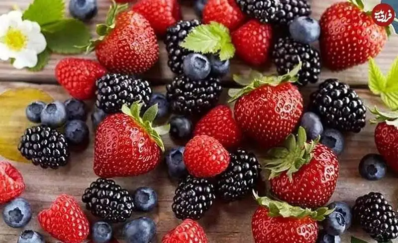 6 غذای کلیدی برای جلوگیری از مه مغزی، از نگاه متخصصان تغذیه