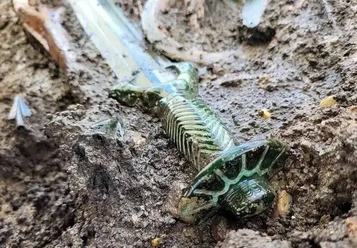 این شمشیر 3400 ساله همچنان تیز و درخشان است - عکس