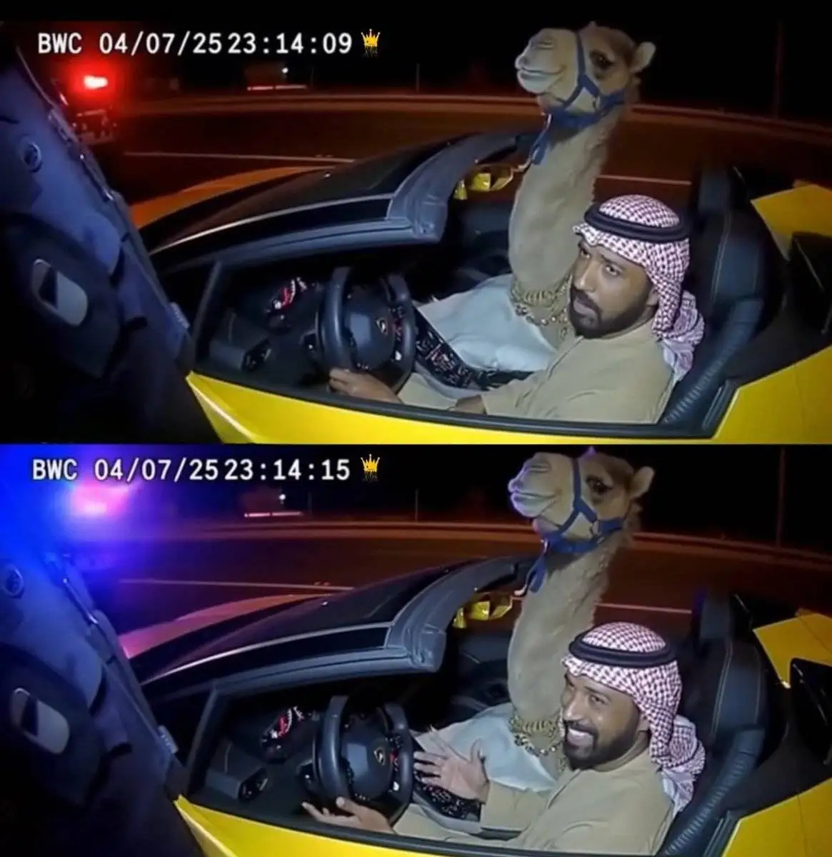 تصویر - ثبت لحظه جالب از لامبورگینی سواری شتر!