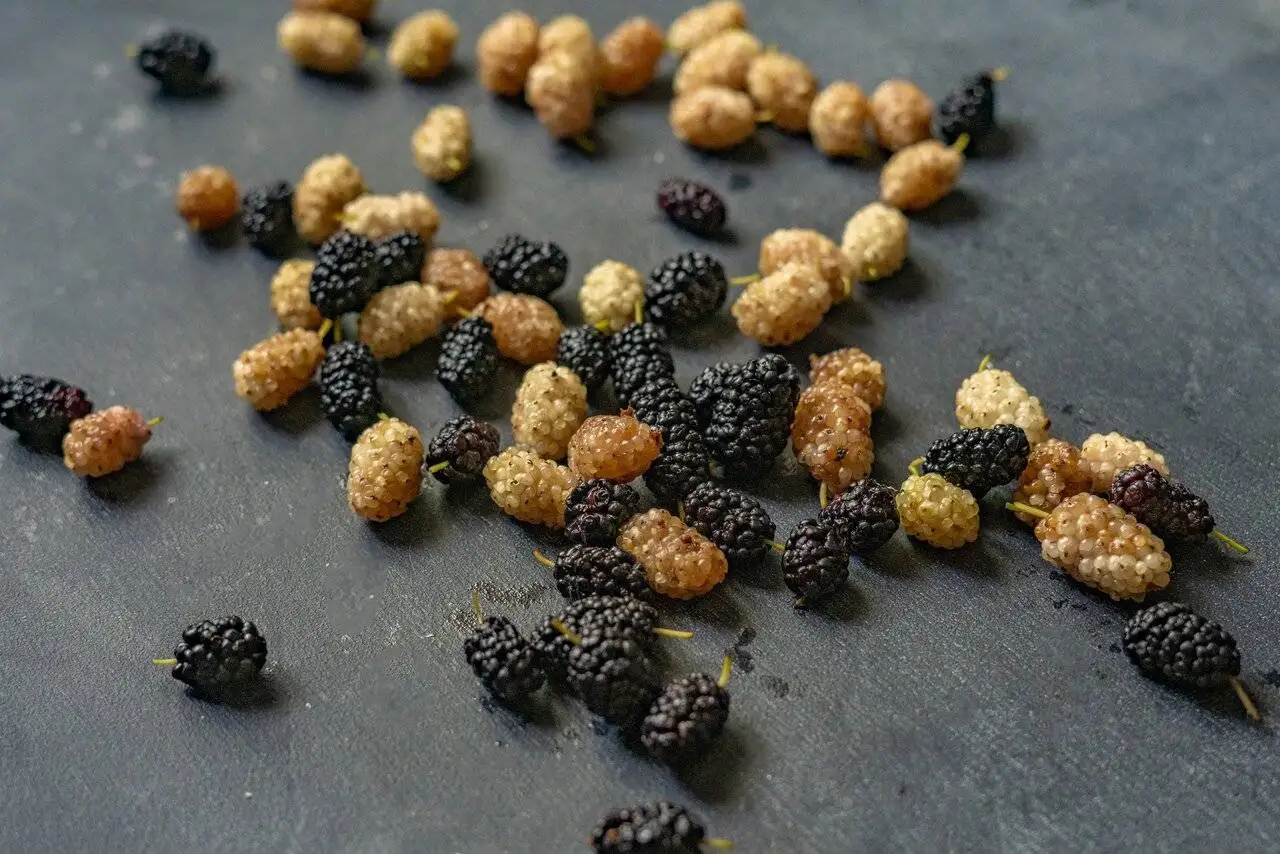 اگر می خواهید قند خون تان بالا نرود، این خوراکی را نخورید