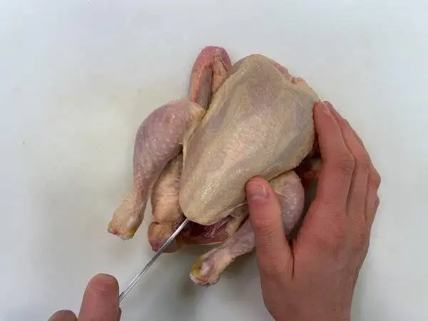 خروس سرخ شده با مرینیت ویژه در کنار سیب زمینی برشته - مراحل کامل روش تهیه + تصاویر