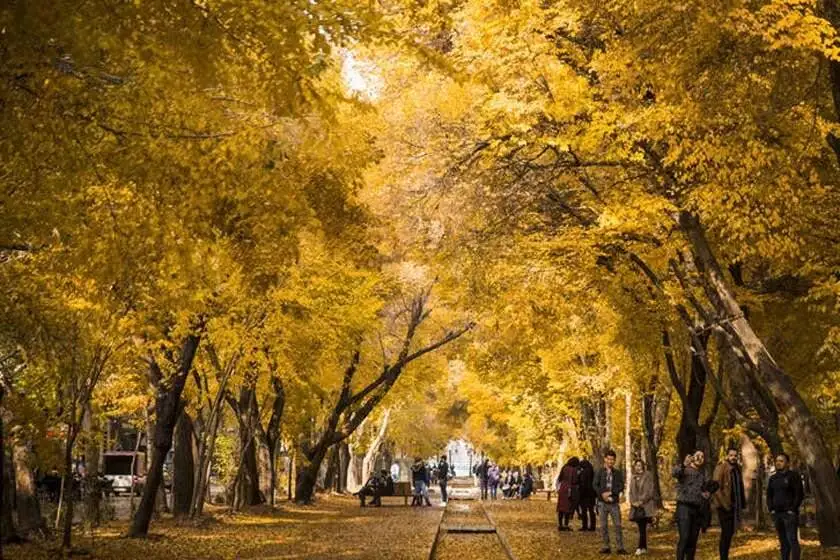 قشنگ ترین خیابان های ایران را ببینید