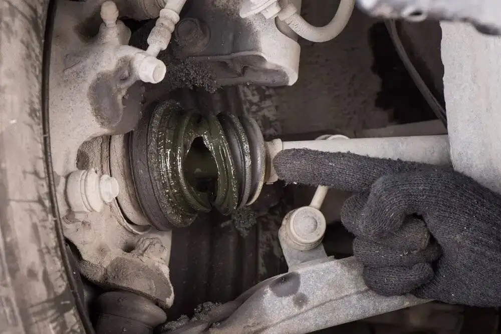 علائم پارگی گردگیر پلوس