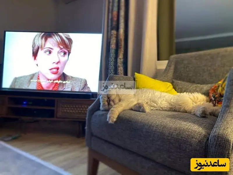 تصاویر - بررسی چیدمان منزل شاهانه و مجلل نرگس محمدی و علی اوجی - از حیاط بهشتی تا مبلمان خوشرنگ با اتاق خواب و عکس عروس خانم و ....