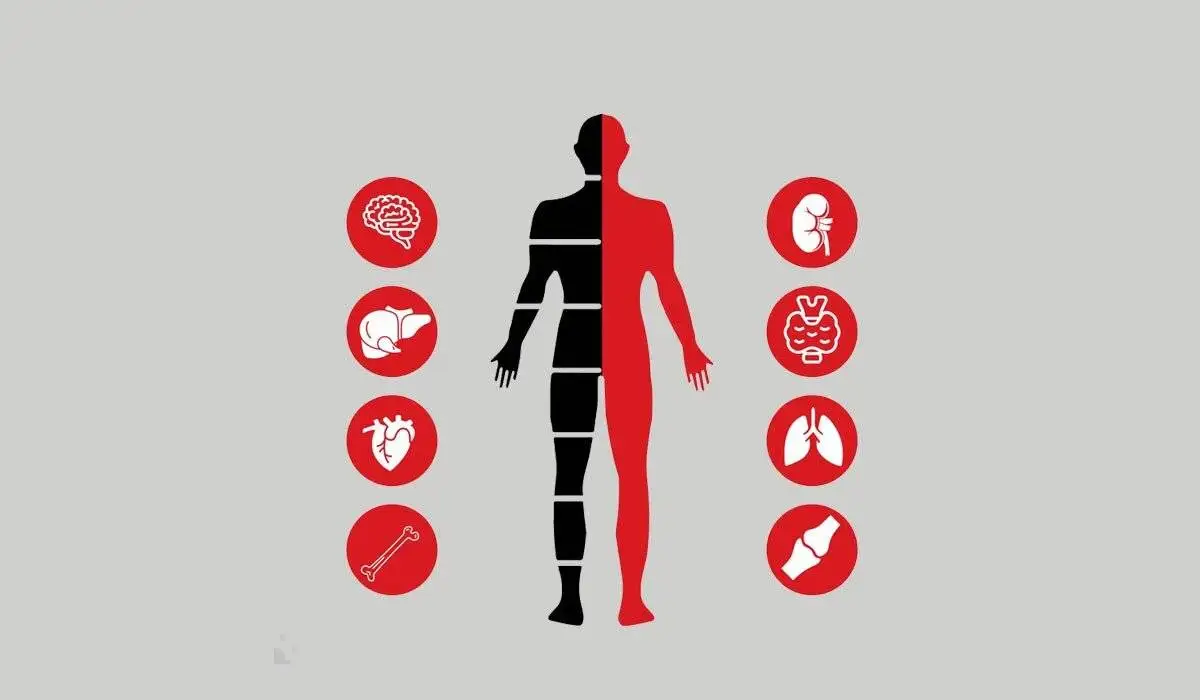 چکاپ کامل خون چیست و شامل چه آزمایش هایی می شود؟