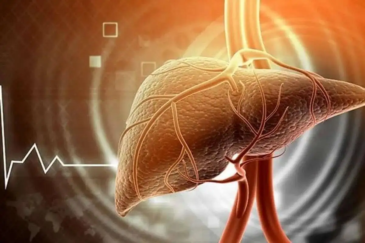 ماءالشعیر غیرالکلی ؛ مفید یا مضر برای کبد چرب ؟ - در نوشیدنی های بدون الکل چه میزان الکل است؟