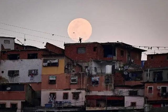 2025 به روایت عکاسان+ عکس