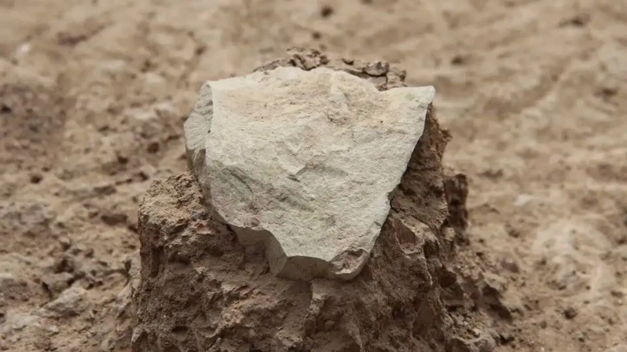 کهن ترین ساخته های دست بشر ؛ از مرد شیری 40 هزار ساله تا چرخ 5 هزار ساله + عکس