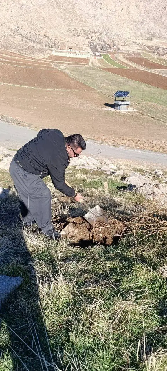 نگهبانان کوچک بلوط ها - درمورد کودکان یک روستا که همگی محیط بان جنگل های بلوط شده اند