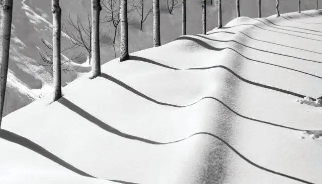 چرا تصاویر کیارستمی معروف شدند؟