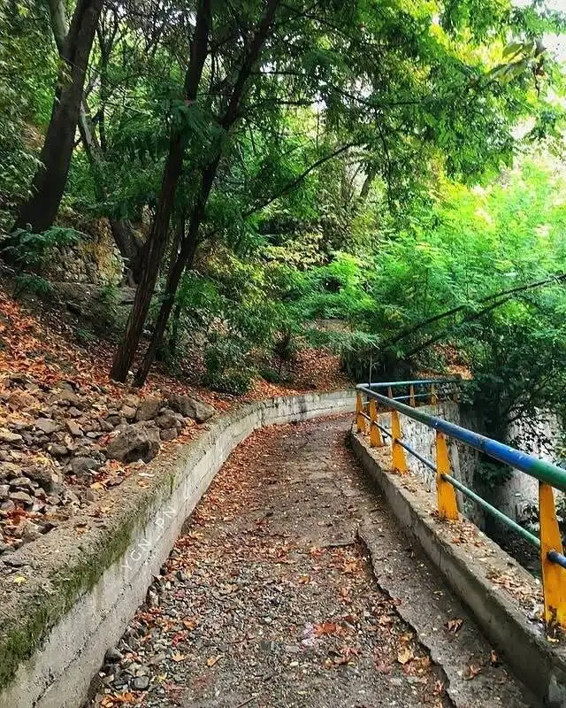 تصاویری جالب و دیدنی از پاییز درکه