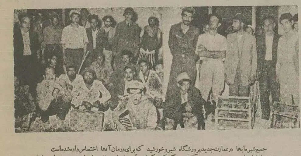 بلبل، طوطی و گوسفند را در اهواز معتاد کردند! + عکس