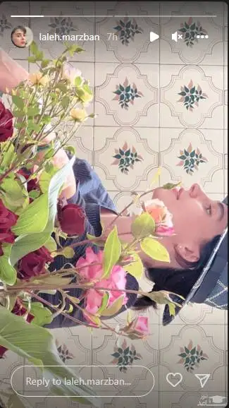 تصویر - هنری ترین و منحصربه فردترین ژست لاله مرزبان همون آبان معروف این روزها