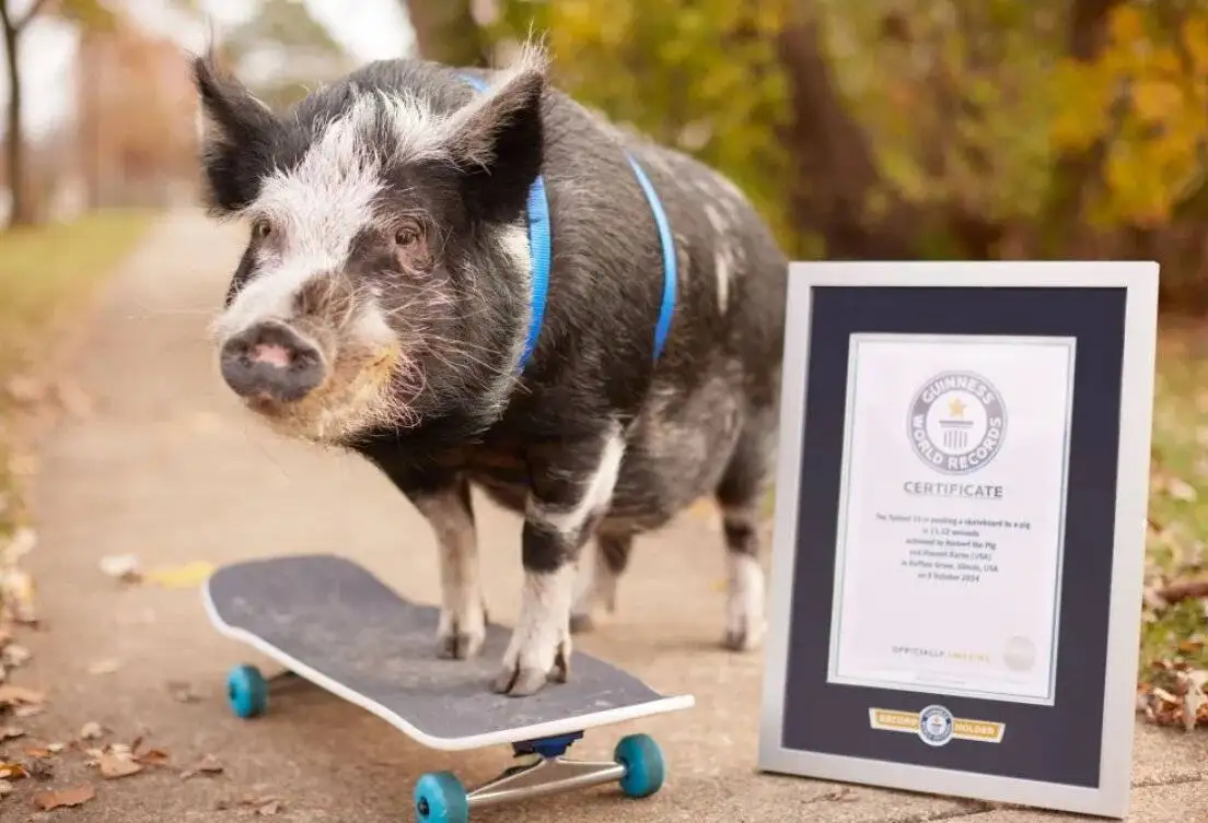 جالب ترین رکوردهای گینس 2025؛ از نگه داشتن چوب کبریت در میانی تا خوک اسکیت باز