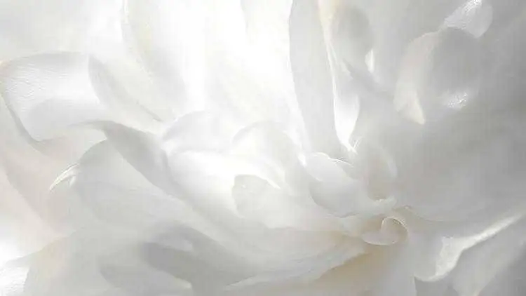 کاربردهای رنگ سال 2026 در دکوراسیون خانه ؛ سفید ابری را با چه رنگ هایی ست کنیم؟